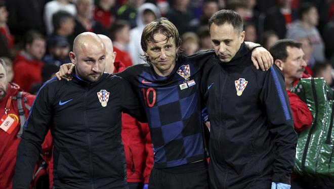 带来了新的 带来了新的