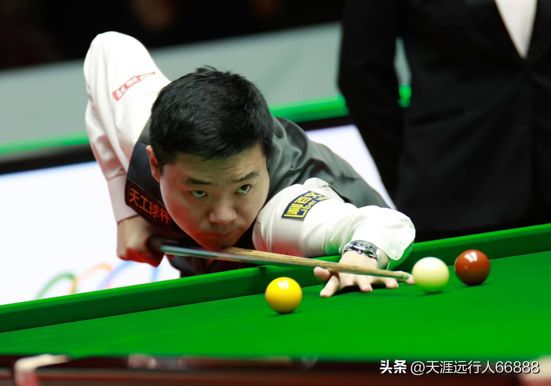 本文将深入 本文将深入